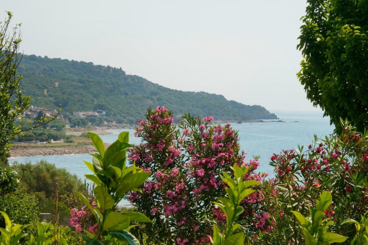Secret Paradise Villas Loutra Elevtheron Ngoại thất bức ảnh